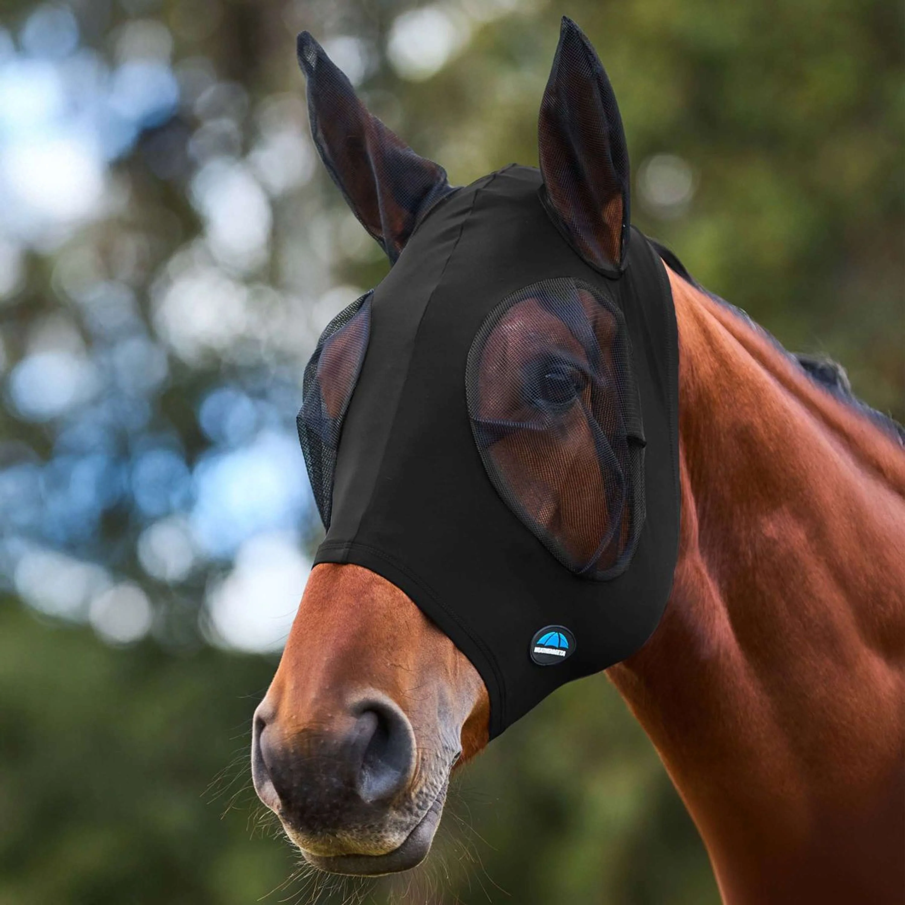 Productafbeelding 1